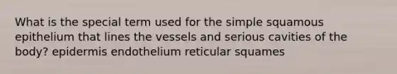 What is the special term used for the simple squamous epithelium that lines the vessels and serious cavities of the body? epidermis endothelium reticular squames