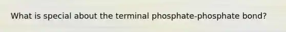 What is special about the terminal phosphate-phosphate bond?