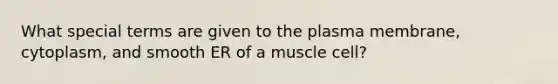 What special terms are given to the plasma membrane, cytoplasm, and smooth ER of a muscle cell?