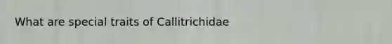 What are special traits of Callitrichidae