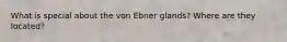 What is special about the von Ebner glands? Where are they located?