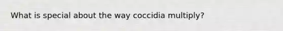 What is special about the way coccidia multiply?