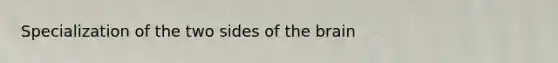 Specialization of the two sides of the brain