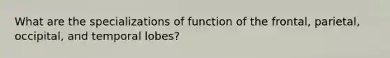 What are the specializations of function of the frontal, parietal, occipital, and temporal lobes?