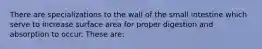 There are specializations to the wall of the small intestine which serve to increase surface area for proper digestion and absorption to occur. These are: