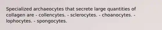 Specialized archaeocytes that secrete large quantities of collagen are - collencytes. - sclerocytes. - choanocytes. - lophocytes. - spongocytes.