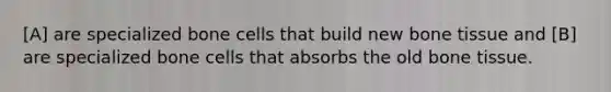 [A] are specialized bone cells that build new bone tissue and [B] are specialized bone cells that absorbs the old bone tissue.