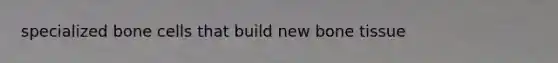 specialized bone cells that build new bone tissue