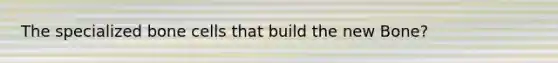 The specialized bone cells that build the new Bone?
