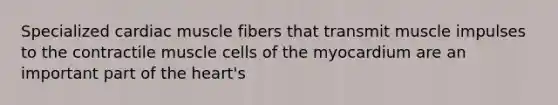 Specialized cardiac muscle fibers that transmit muscle impulses to the contractile muscle cells of the myocardium are an important part of the heart's