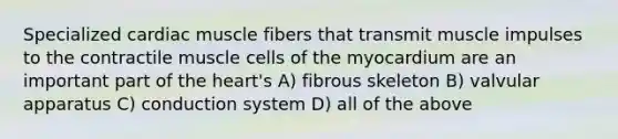 Specialized cardiac muscle fibers that transmit muscle impulses to the contractile muscle cells of the myocardium are an important part of the heart's A) fibrous skeleton B) valvular apparatus C) conduction system D) all of the above