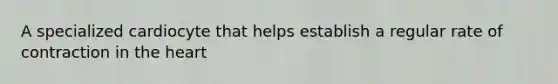A specialized cardiocyte that helps establish a regular rate of contraction in <a href='https://www.questionai.com/knowledge/kya8ocqc6o-the-heart' class='anchor-knowledge'>the heart</a>