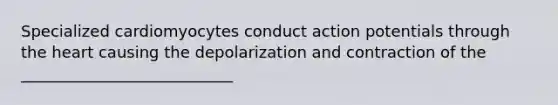 Specialized cardiomyocytes conduct action potentials through the heart causing the depolarization and contraction of the ___________________________