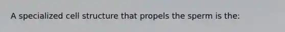 A specialized cell structure that propels the sperm is the: