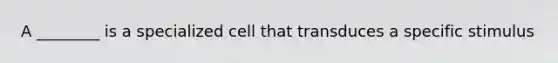 A ________ is a specialized cell that transduces a specific stimulus