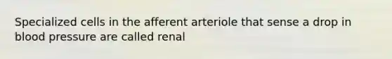 Specialized cells in the afferent arteriole that sense a drop in blood pressure are called renal