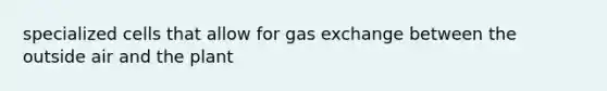 specialized cells that allow for gas exchange between the outside air and the plant