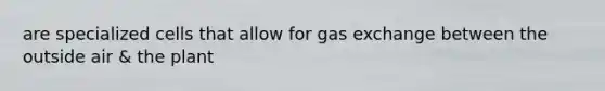 are specialized cells that allow for gas exchange between the outside air & the plant