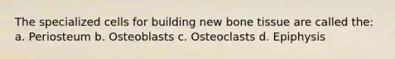 The specialized cells for building new bone tissue are called the: a. Periosteum b. Osteoblasts c. Osteoclasts d. Epiphysis