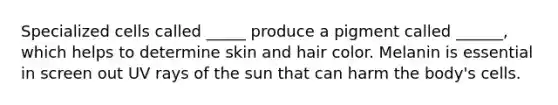 Specialized cells called _____ produce a pigment called ______, which helps to determine skin and hair color. Melanin is essential in screen out UV rays of the sun that can harm the body's cells.