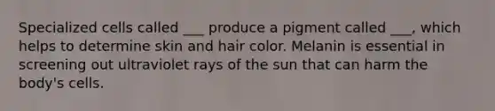 Specialized cells called ___ produce a pigment called ___, which helps to determine skin and hair color. Melanin is essential in screening out ultraviolet rays of the sun that can harm the body's cells.