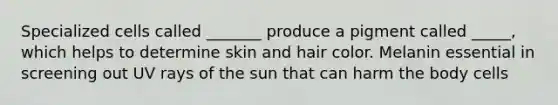 Specialized cells called _______ produce a pigment called _____, which helps to determine skin and hair color. Melanin essential in screening out UV rays of the sun that can harm the body cells