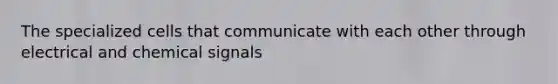 The specialized cells that communicate with each other through electrical and chemical signals