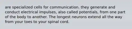 are specialized cells for communication. they generate and conduct electrical impulses, also called potentials, from one part of the body to another. The longest neurons extend all the way from your toes to your spinal cord.