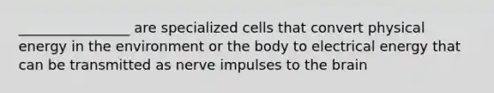 ________________ are specialized cells that convert physical energy in the environment or the body to electrical energy that can be transmitted as nerve impulses to the brain