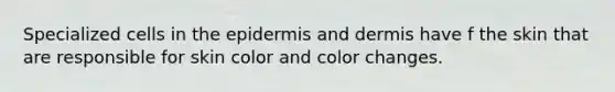 Specialized cells in the epidermis and dermis have f the skin that are responsible for skin color and color changes.