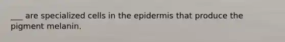 ___ are specialized cells in the epidermis that produce the pigment melanin.