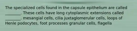 The specialized cells found in the capsule epithelium are called ________. These cells have long cytoplasmic extensions called ________. mesangial cells, cilia juxtaglomerular cells, loops of Henle podocytes, foot processes granular cells, flagella