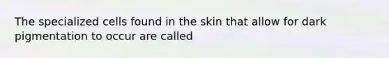 The specialized cells found in the skin that allow for dark pigmentation to occur are called