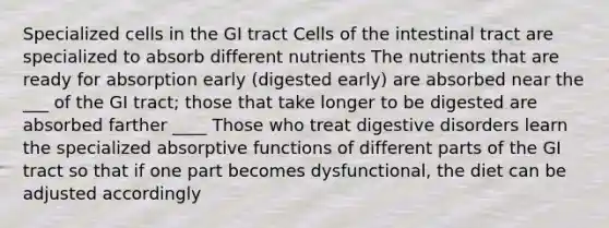 Specialized cells in the GI tract Cells of the intestinal tract are specialized to absorb different nutrients The nutrients that are ready for absorption early (digested early) are absorbed near the ___ of the GI tract; those that take longer to be digested are absorbed farther ____ Those who treat digestive disorders learn the specialized absorptive functions of different parts of the GI tract so that if one part becomes dysfunctional, the diet can be adjusted accordingly