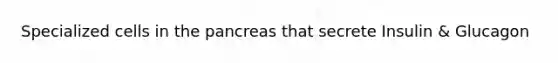 Specialized cells in the pancreas that secrete Insulin & Glucagon