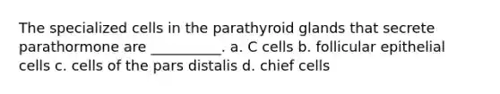 The specialized cells in the parathyroid glands that secrete parathormone are __________. a. C cells b. follicular epithelial cells c. cells of the pars distalis d. chief cells