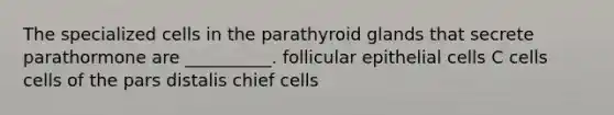 The specialized cells in the parathyroid glands that secrete parathormone are __________. follicular epithelial cells C cells cells of the pars distalis chief cells