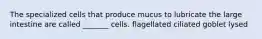 The specialized cells that produce mucus to lubricate the large intestine are called _______ cells. flagellated ciliated goblet lysed