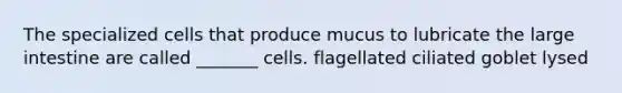 The specialized cells that produce mucus to lubricate the <a href='https://www.questionai.com/knowledge/kGQjby07OK-large-intestine' class='anchor-knowledge'>large intestine</a> are called _______ cells. flagellated ciliated goblet lysed