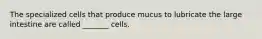 The specialized cells that produce mucus to lubricate the large intestine are called _______ cells.