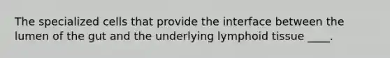 The specialized cells that provide the interface between the lumen of the gut and the underlying lymphoid tissue ____.