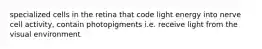 specialized cells in the retina that code light energy into nerve cell activity, contain photopigments i.e. receive light from the visual environment