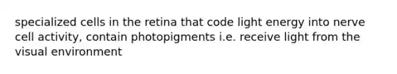 specialized cells in the retina that code light energy into nerve cell activity, contain photopigments i.e. receive light from the visual environment