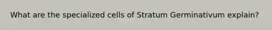 What are the specialized cells of Stratum Germinativum explain?