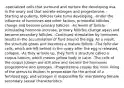 -specialized cells that surround and nurture the developing ova in the ovary and that secrete estrogen and progesterone. -Starting at puberty, follicles take turns developing. -Under the influence of hormones and other factors, primordial follicles change and become primary follicles. -As levels of follicle-stimulating hormone increase, primary follicles change again and become secondary follicles. -Continued stimulation by hormones results in the accumulation of fluid around the egg. As a result, the structure grows and becomes a mature follicle. -The follicular cells, which are left behind in the ovary after the egg is released, collapse. -As they wrinkle up, they form a structure called a corpus luteum, which means yellow body in Latin. -The cells of the corpus luteum are still alive and secrete the hormones progesterone and estrogen. -Progesterone causes the inner lining of the uterus to thicken in preparation for the arrival of a fertilized egg, and estrogen is responsible for maintaining female secondary sexual characteristics.