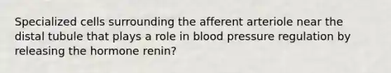 Specialized cells surrounding the afferent arteriole near the distal tubule that plays a role in <a href='https://www.questionai.com/knowledge/kD0HacyPBr-blood-pressure' class='anchor-knowledge'>blood pressure</a> regulation by releasing the hormone renin?