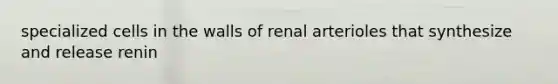 specialized cells in the walls of renal arterioles that synthesize and release renin