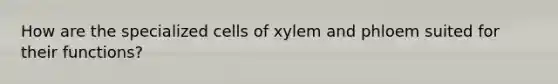 How are the specialized cells of xylem and phloem suited for their functions?