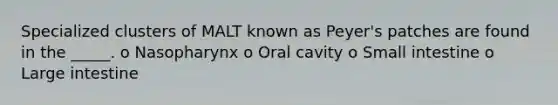 Specialized clusters of MALT known as Peyer's patches are found in the _____. o Nasopharynx o Oral cavity o Small intestine o Large intestine