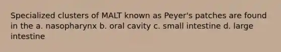 Specialized clusters of MALT known as Peyer's patches are found in the a. nasopharynx b. oral cavity c. small intestine d. large intestine